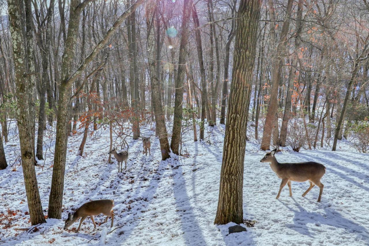 Northridge 199 Villa Tannersville Bagian luar foto