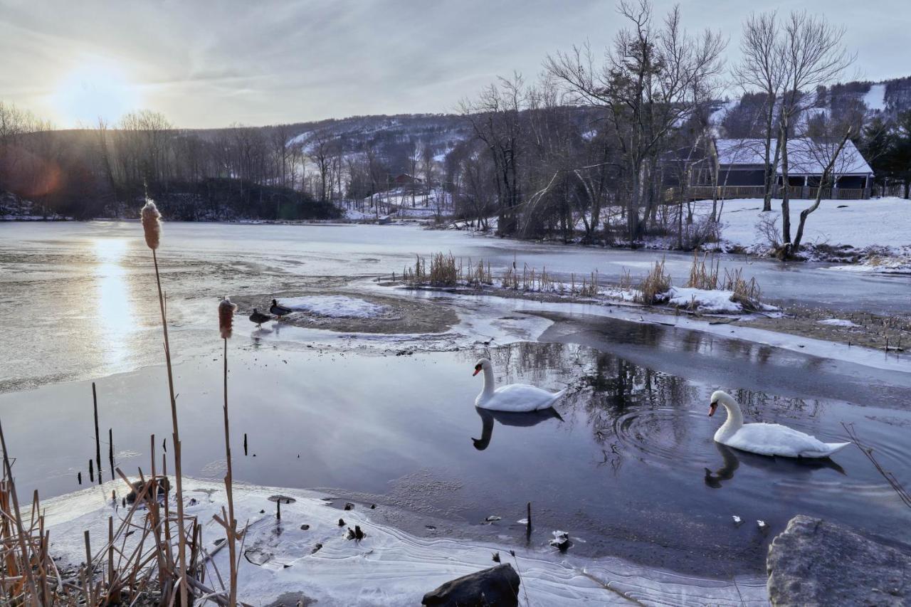 Northridge 199 Villa Tannersville Bagian luar foto